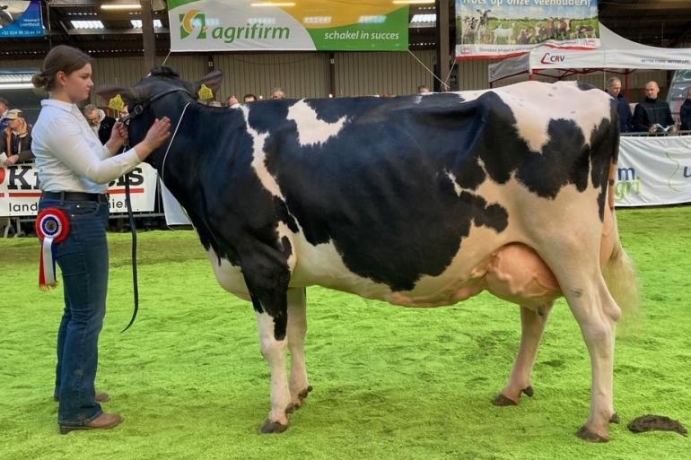 Seniorkampioene Annie 149 produceerde tot nu toe ruim 67.000 kg