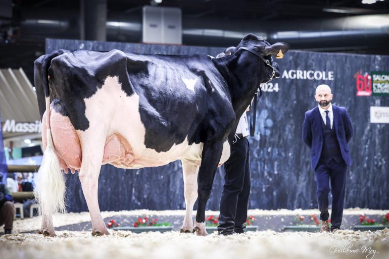 De zeven keer gekalfde Ducasse Jaka is de regerend Frans kampioene en won ook vorig jaar de titel op de SIA (foto: Guillaume Moy)
