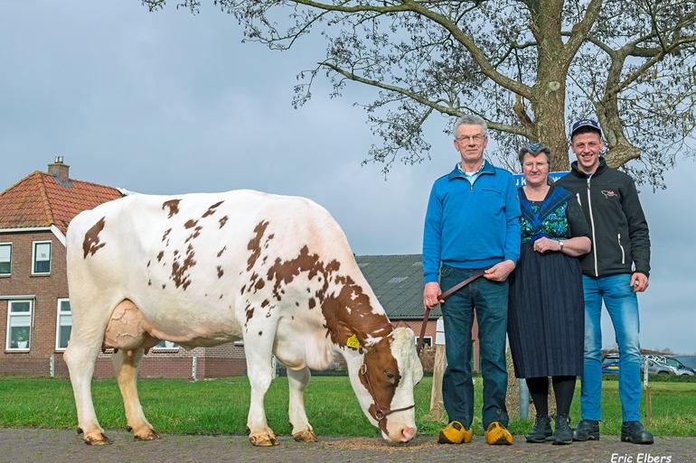 Kaydochter Joze 145 is ingeschreven met 87 punten voor exterieur (foto: Eric Elbers)