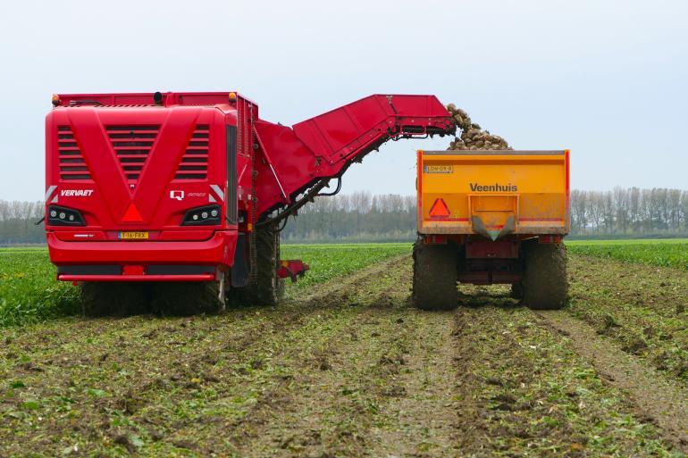 Feiten en fabels over KWS Feedbeet