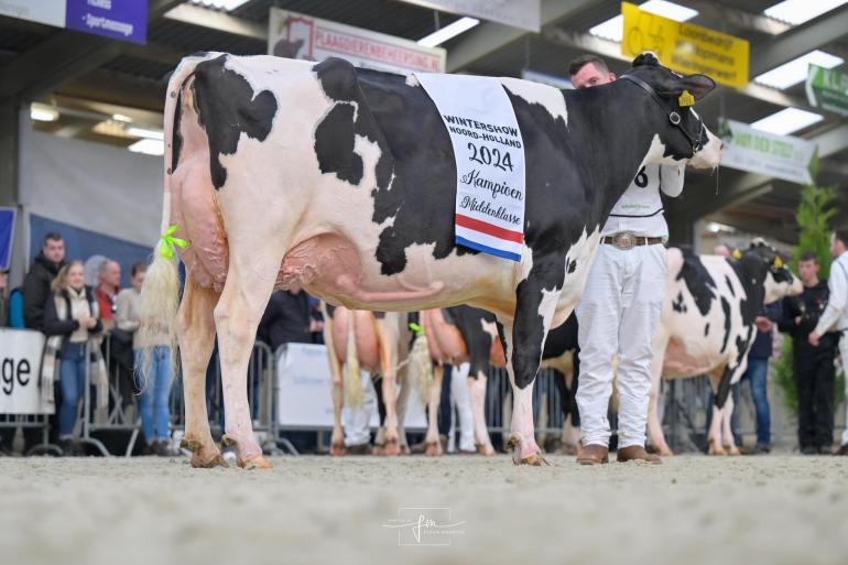 Behalve het algemeen kampioenschap won Carmen 5 ook de titel in de middenklasse