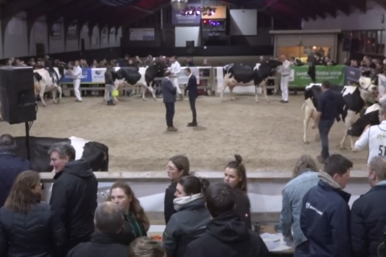 Alle kampioenen van de wintershow UFF komen in beeld