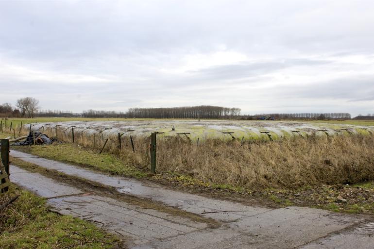 Methaan dat wordt gevormd in de mestopslag kan worden omgezet in CO2 via verbranding of oxidatie door bacteriën in een biofilter