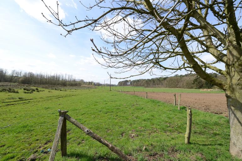 In het nieuwe coalitieakkoord wordt gesproken over het versmallen van de bufferstroken rondom Natura 2000-gebieden