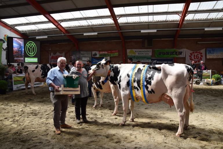 De zwartbonttitel in Sint-Niklaas ging naar Magic (v. 1stClass)