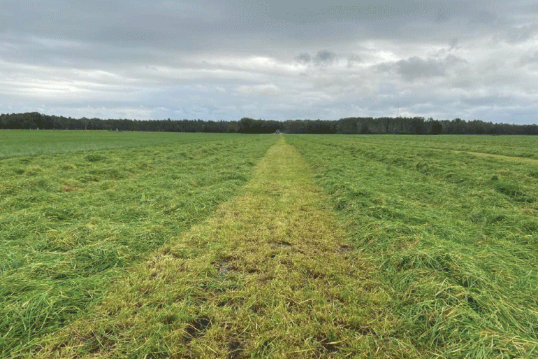 Inkuilen-eerste-grassnede-voorlopig-flinke-uitdaging.gif