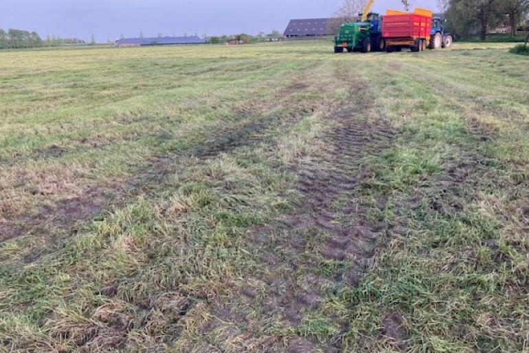 Er is in diverse regio's gekuild, maar de draagkracht was vaak minimaal