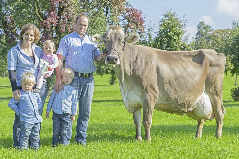 Mandeldochter Denver produceerde 12.949 kg vet en eiwit (foto: Braunvieh Schweiz)