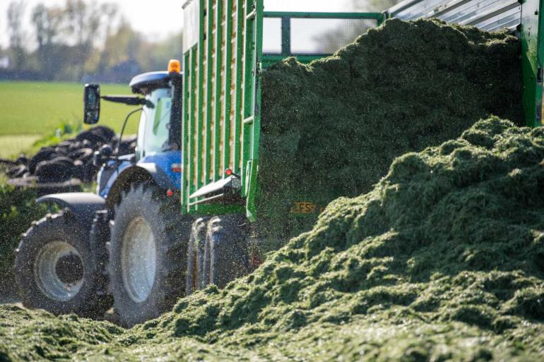 Bedenk goed waar je je gras neerlegt, tipt De Weideman