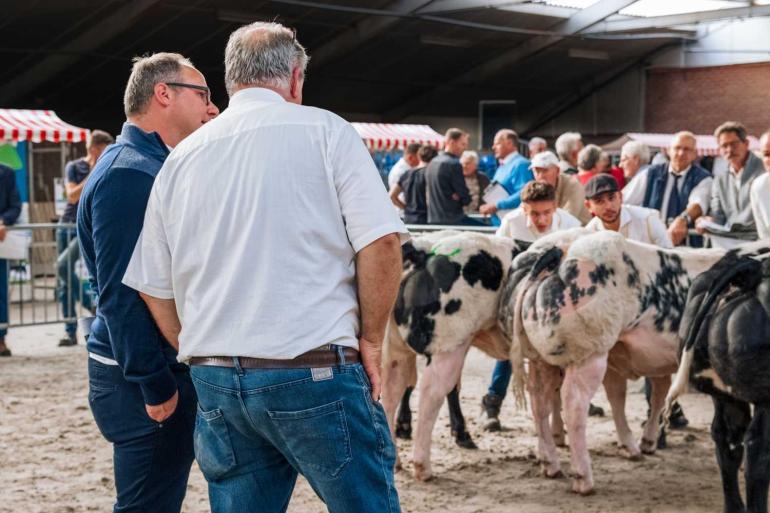 In 2022 waren voor de NVM ruim 400 dieren ingeschreven van acht verschillende rassen