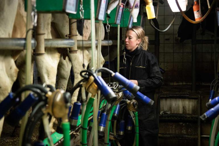 In Nederland daalde de melkaanvoer in juli met drie procent