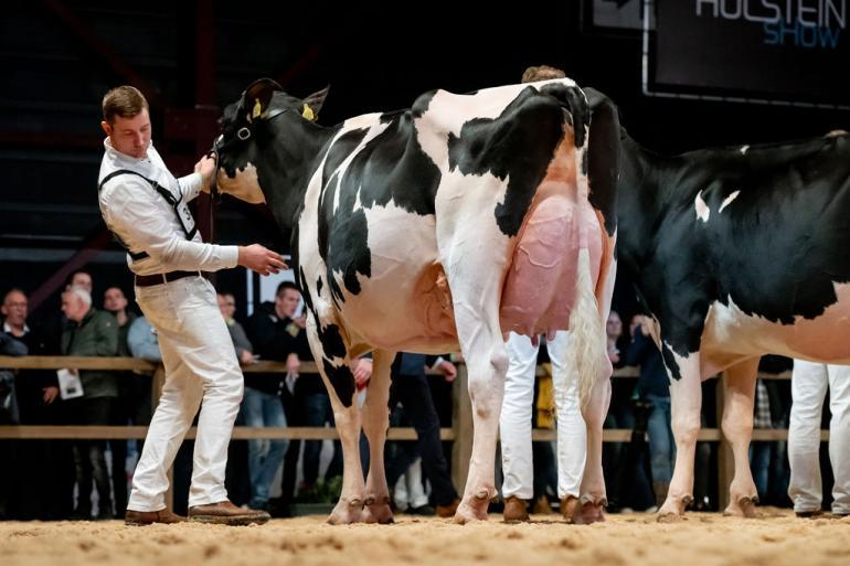 Heerenbrink Angelina won in 2023 het algemeen kampioenschap op de HHH-show (foto: Els Korsten)
