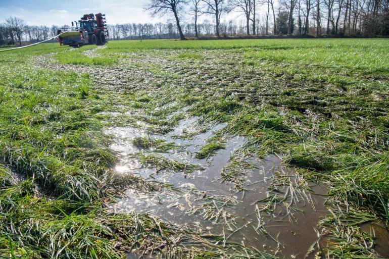 Door de extreme hoeveelheid neerslag kwam het uitrijden van mest op veel plekken in de knel dit voorjaar