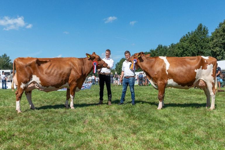 De roodbonte Ross Absolute A (links) en Doortje 3410 (rechts) vormden het kampioensduo in de middenklasse (foto: Cilia Hoekman)