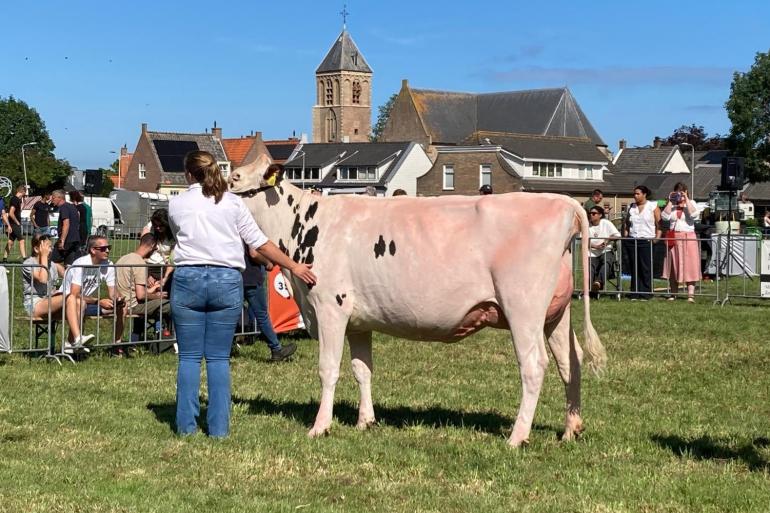 HHZ Lauren 1 (v. Chief) van Jan-Willem Hoftijzer won de vaarzentitel