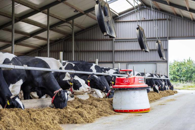 Sinds eind juni melkt de familie Groeneveld 130 hoogproductieve koeien