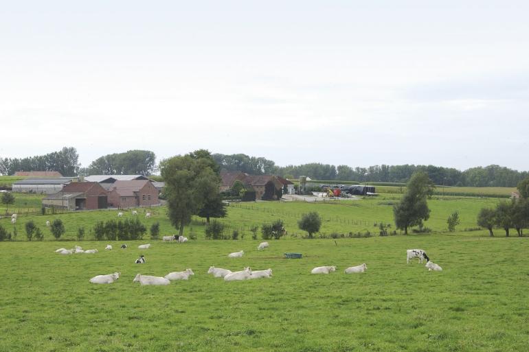 Meer dan de helft van de Vlaamse landbouwers wil het bedrijf de komende vijf jaar afbouwen, stopzetten of overlaten