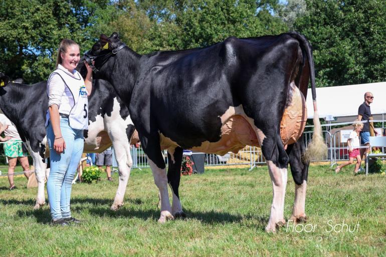 WR Monami (v. Diamondback) van Robert Overvelde won in Twello het algemeen kampioenschap zwartbont (foto: Floor Schut)