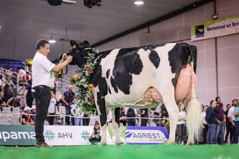De vier keer gekalfde Noe Pensylvani (v. Lambda) was in Rennes de sterkste