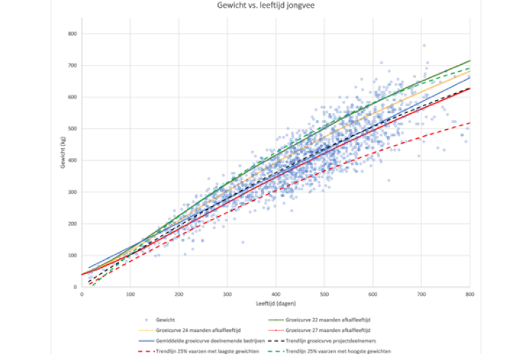 Figuur 1: Overzicht van de gewichten gemeten bij de start van het weideseizoen, uitgezet tegen de standaard groeicurves naar 22, 24 en 27 maanden afkalfleeftijd