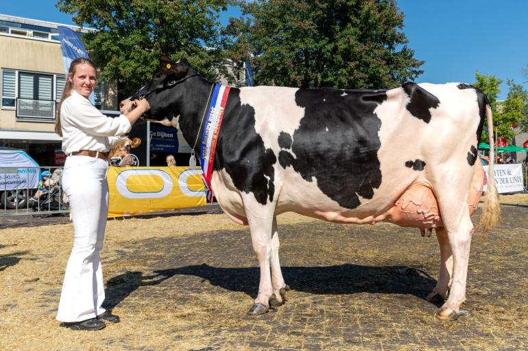 Vorig jaar won VVH Ida Mondi (v. Mogul) de reservetitel in de middenklasse, dit jaar veroverde ze het algemeen kampioenschap (foto: Cilia Hoekman)