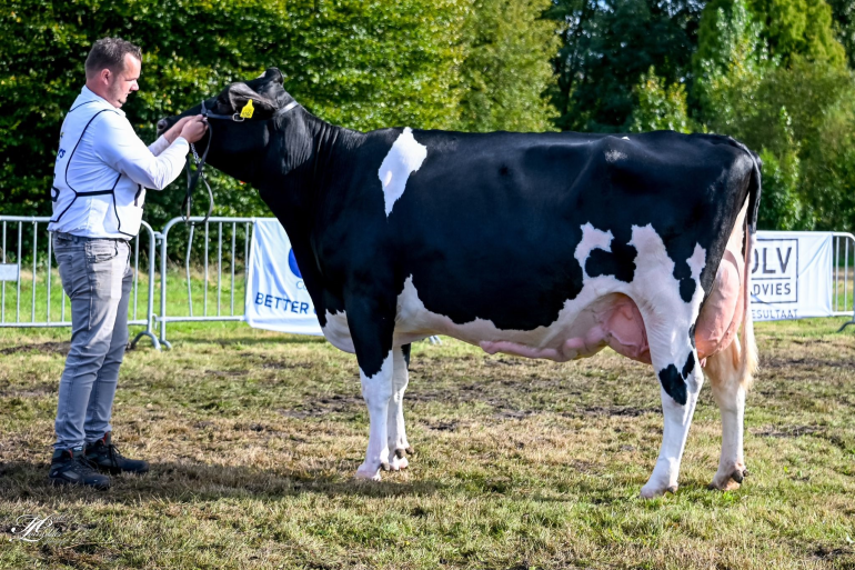 Oosterbrook Esperanto Hanilla was de sterkste bij de senioren (foto: Henk Lomulder)