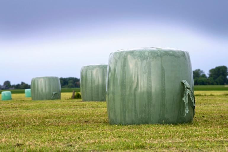 Dankzij het mooie weer kan het gras deze week voldoende droog gewonnen worden