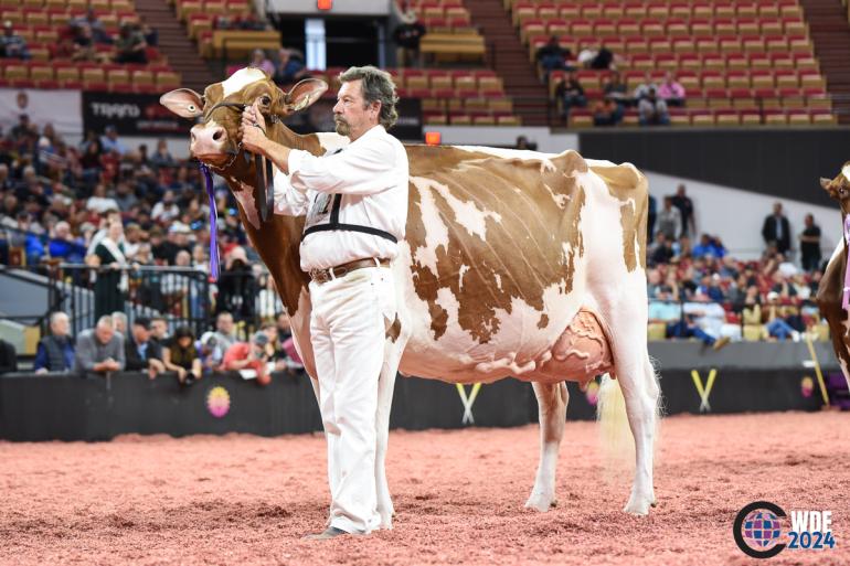 Voor de tweede keer op rij won Premium Apple Crisp Lilly de roodbonttitel in Madison (foto: Cowsmopolitan)