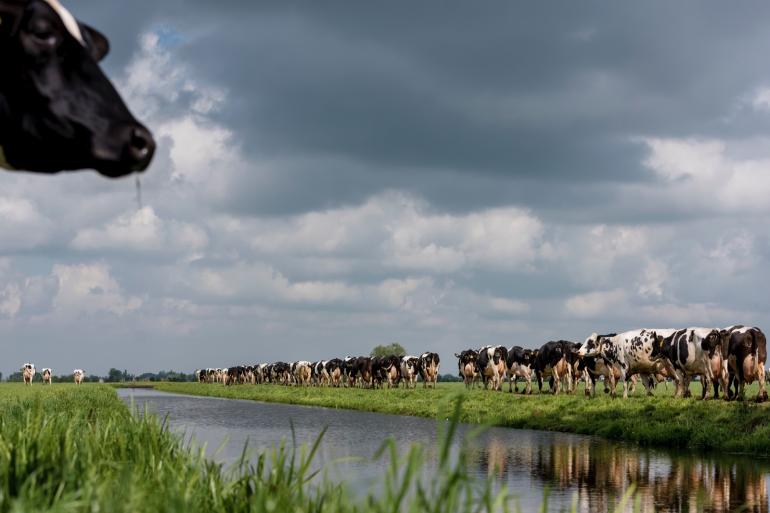 Grasseizoen 2024 was erg uitdagend