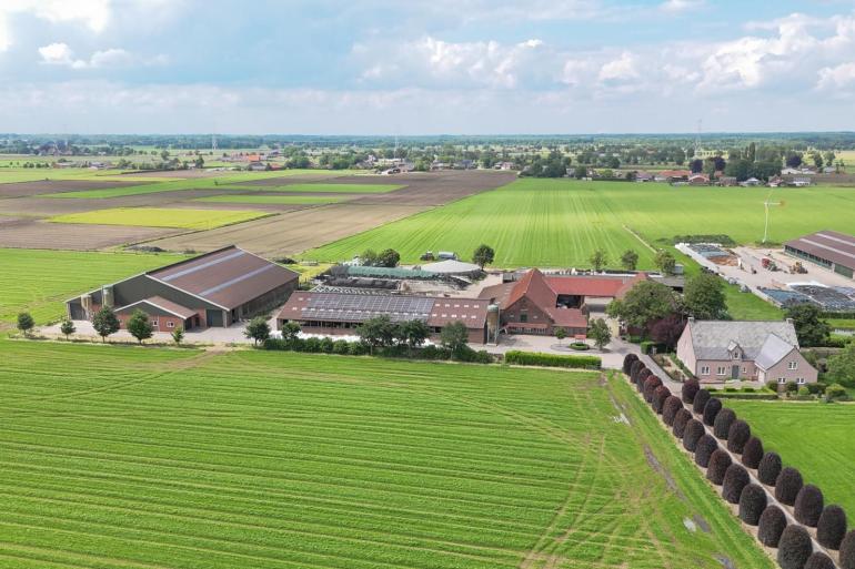Hoewel er meer melkveebedrijven verkocht werden in het eerste half jaar van 2024, werden er minder bedrijven te koop aangeboden