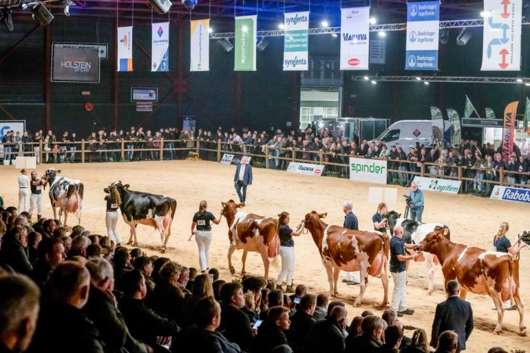 Vorig jaar kwam op de HHH-show onder meer een dochtergroep van Delta Jacuzzi in de ring