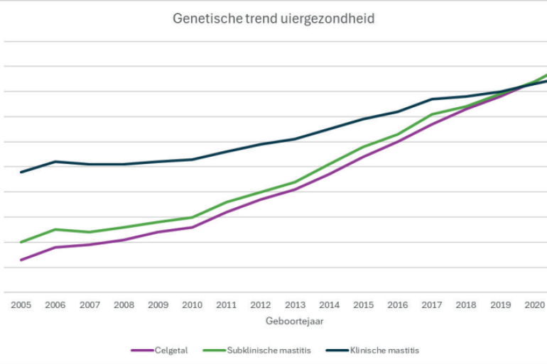 Figuur 1 – Genetische trend in de zwartbonte holseinpopulatie in Nederland voor de uiergezondheidskenmerken klinische mastitis, subklinisch mastitis en celgetal.