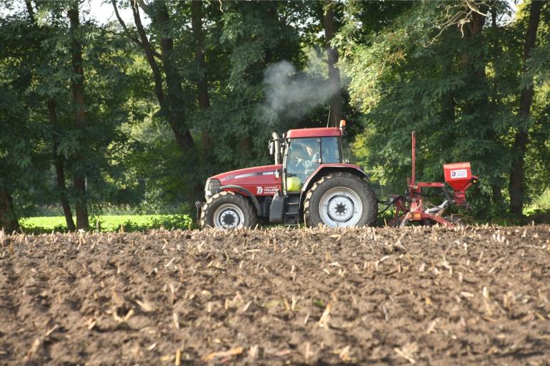 Landbouwers in Vlaanderen kunnen zelf het beste moment bepalen voor het inzaaien van een vanggewas