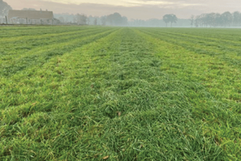 Inkuilen-van-herfstgras-is-een-uitdaging_.gif