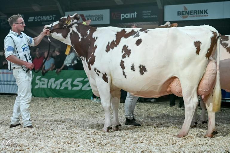 Het algemeen kampioenschap bij roodbont ging naar Carnivaldochter Trillie 171 (foto: Henk Lomulder)