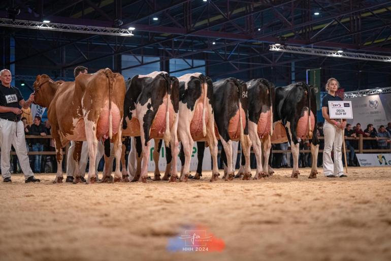 Eloydochters overtuigden in soepel beengebruik