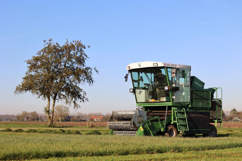 Op de proefvelden van Barenbrug Holland worden de verschillen in gras- en klaversoorten onderzocht