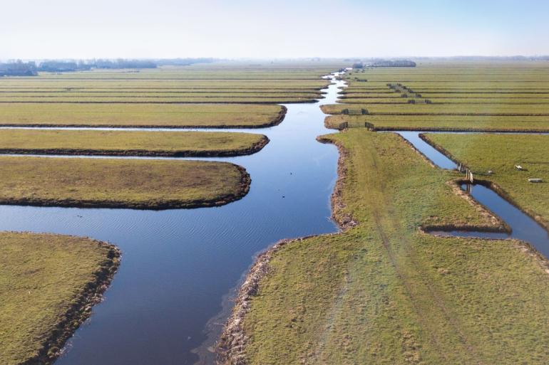 Op twee bedrijven zorgde omzetting van veengrond voor een hoge broeikasgasuitstoot
