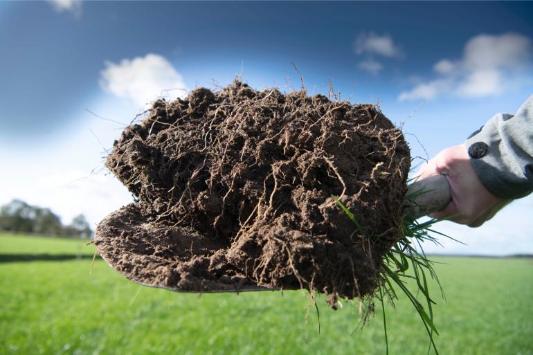 Een langetermijnbeheer gericht op de opbouw van organische stof helpt volgens de onderzoekers niet om stikstofverliezen te verlagen