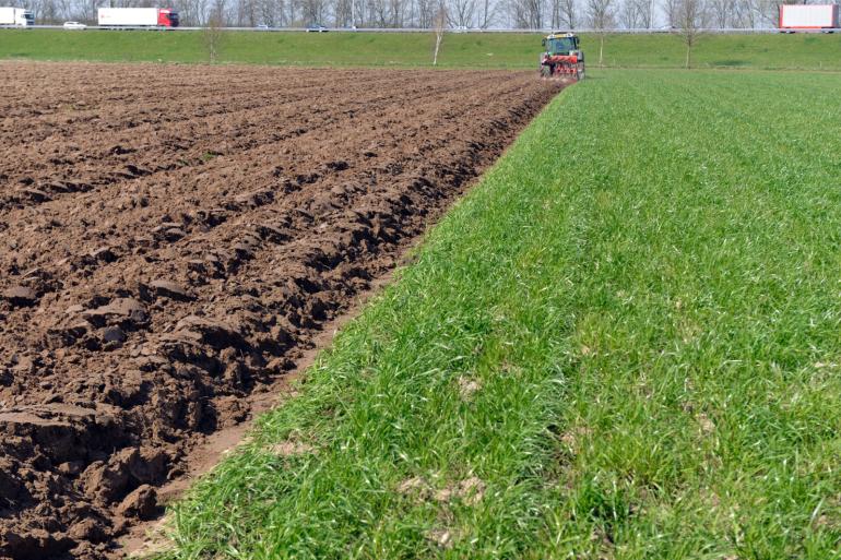 Volgens de onderzoekers van De Marke hoeft, met het juiste management, mais in een vruchtwisseling met gras geen hoger risico op de uitspoeling van stikstof te geven dan de teelt van gras