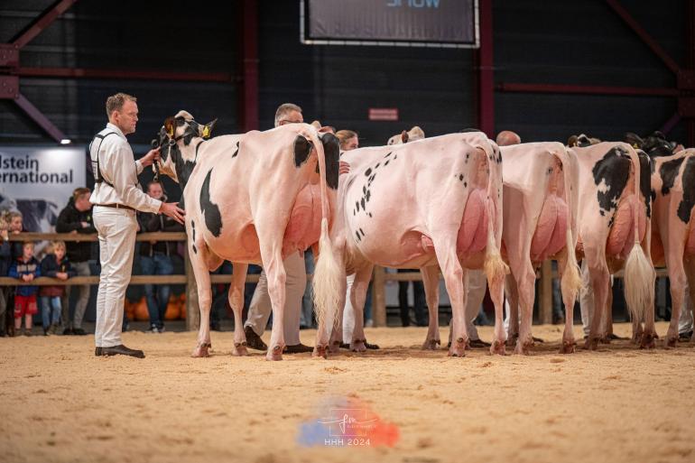 De vaarzenkampioene Bons - Holsteins Koba 291 (v. Aligator) aan kop van haar rubriek