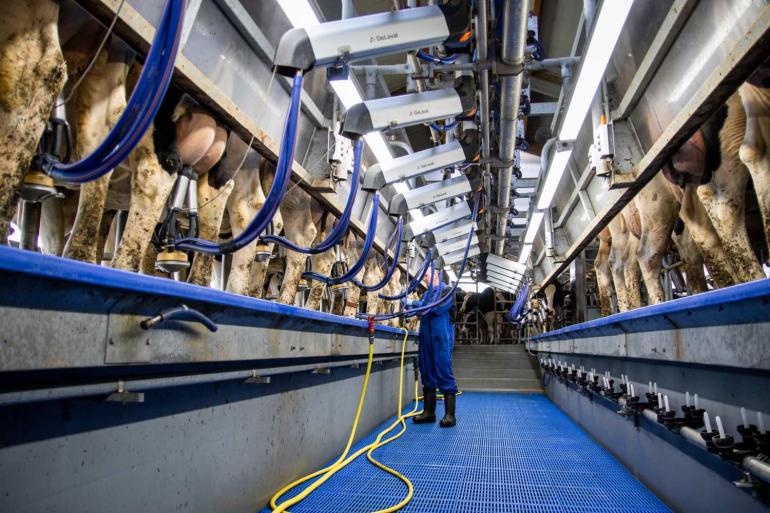 Ook in de buurlanden België en Duitsland nam de melkaanvoer in september af 