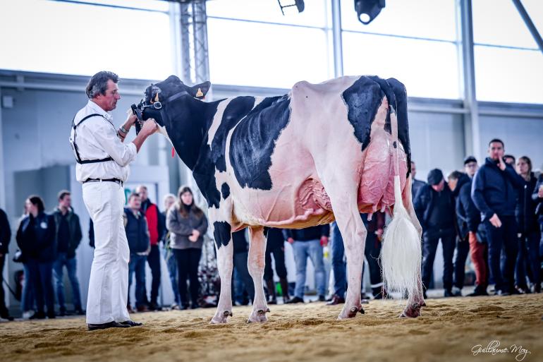 De titel op de open Franse show ging naar Gaec Robinard Pastèque (foto: Guillaume Moy)