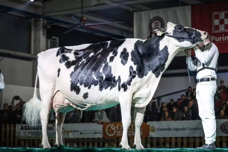 Sabbiona Tiky schreef al verschillende titels op haar naam (foto: Guillaume Moy)