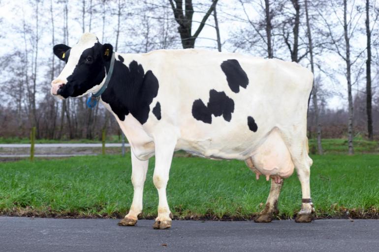 De vijftienjarige Floryan is als aanvoerder van de F-jes nog opvallend vitaal (foto: Harrie van Leeuwen)
