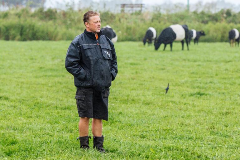 Fernand de Willigen houdt samen met zijn vrouw Meta 75 lakenvelders in Warmond. Ze zijn actief bezig met natuur- en weidevogelbeheer.