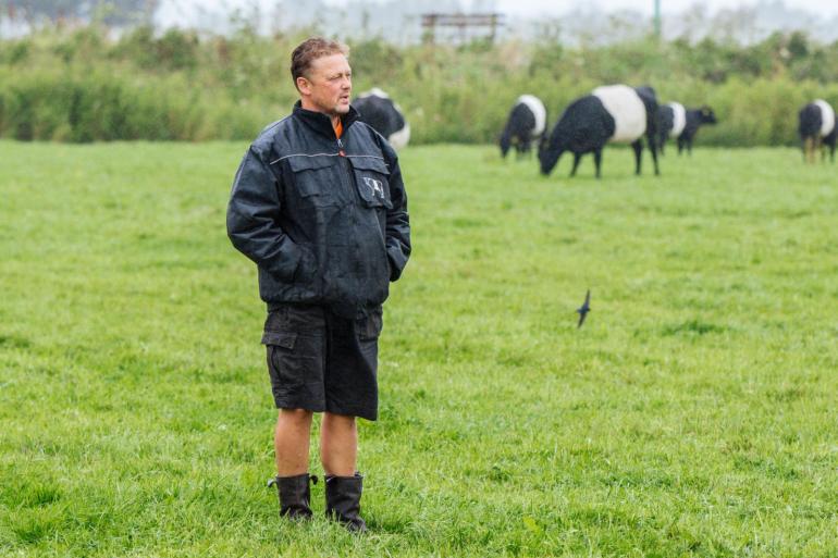 Fernand de Willigen houdt samen met zijn vrouw Meta 75 lakenvelders in Warmond. Ze zijn actief bezig met natuur- en weidevogelbeheer. 