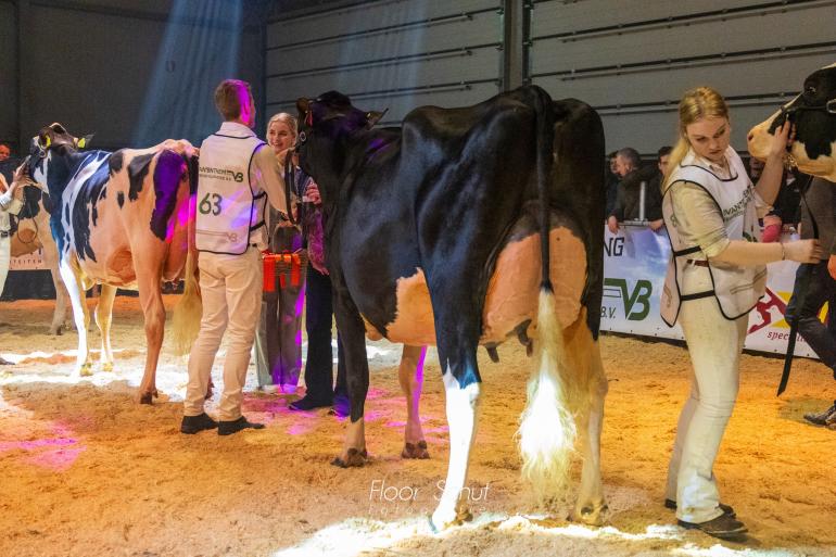 Na het algemeen kampioenschap op de Twentse After Summer Show was het ook op de wintershow Zwolle raak voor Grietje 293 (foto: Floor Schut)