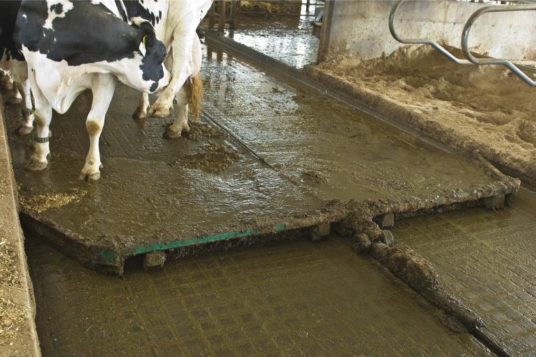 Vooral onder dichte vloeren hoopt de concentratie aan mestgassen op