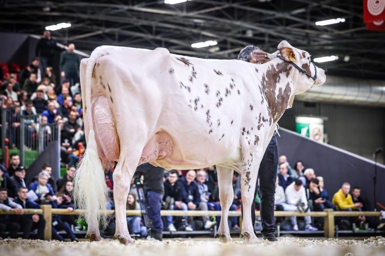 De roodbonttitel in Parijs ging naar Night Red De La Liègue (foto: Guillaume Moy)